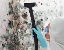 Best Mold Prevention Services  in Jerome, ID